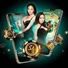 Sydney Pools draw display on zk988 h5 showing live number results