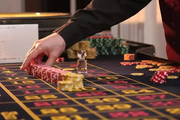 Live dealer table at zk988 h5 with professional studio setup